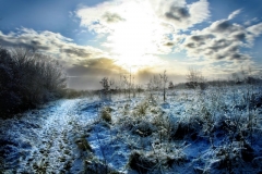 joel-ramsay-millenium-community-woodland-winter-wonderland