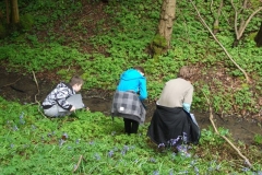 wittersham-habitats-11