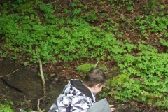 wittersham-habitats-12