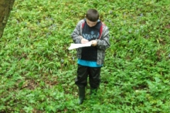 wittersham-habitats-15