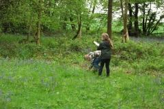 wittersham-habitats-3