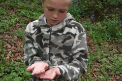 wittersham-habitats-4