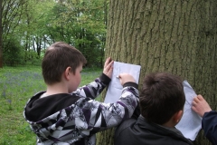 wittersham-habitats-5