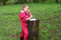 wittersham-habitats-6