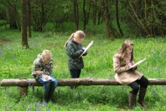 wittersham-habitats-9