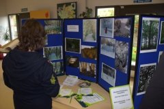 woodland-art-festival-050