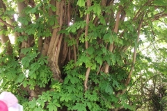 dscf0170