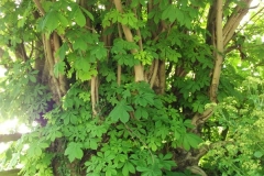 dscf0171